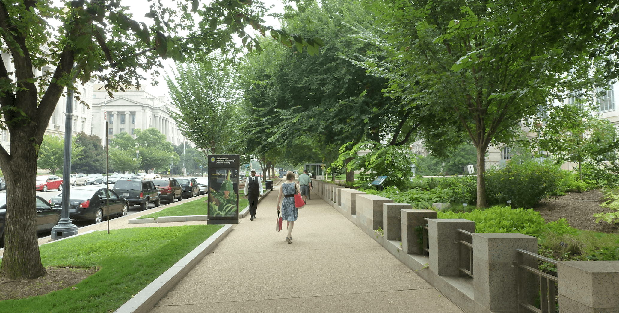 HELP! Trees in the Urban Landscape